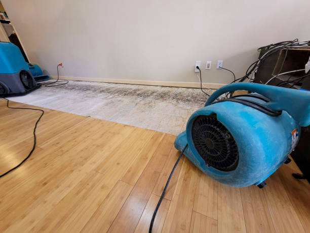 Professional Emergency Water Damage technician working in Covington, KY